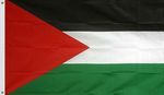 Palestiinan  lippu 