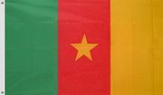 Kamerunin  lippu 