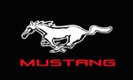 Mustang lippu     
